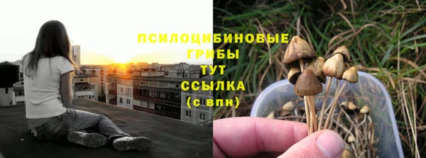 сатива Инта