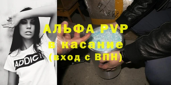 сатива Инта