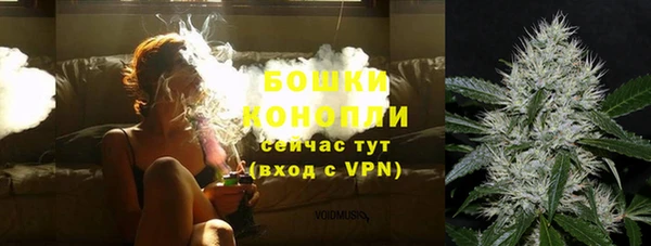 сатива Инта