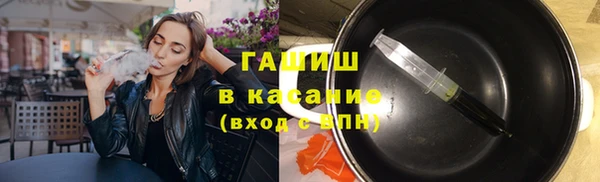 сатива Инта