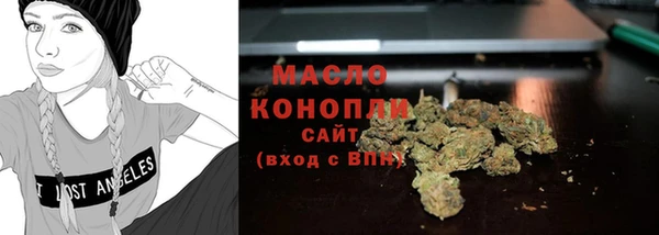 сатива Инта
