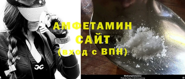 сатива Инта
