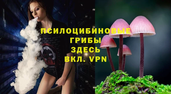 трава Иннополис