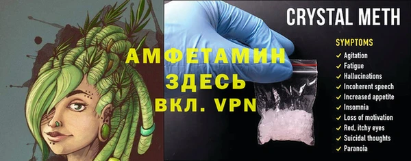 сатива Инта