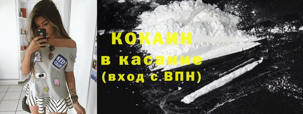 сатива Инта