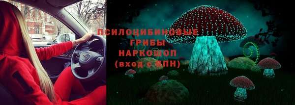 трава Иннополис