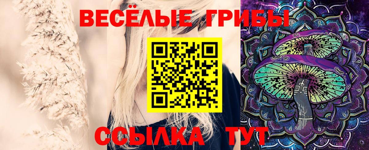 Псилоцибиновые грибы Magic Shrooms Ипатово
